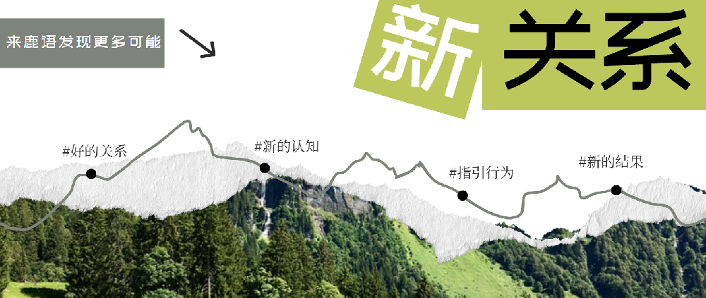 心理咨询中一个核心的要素：关系