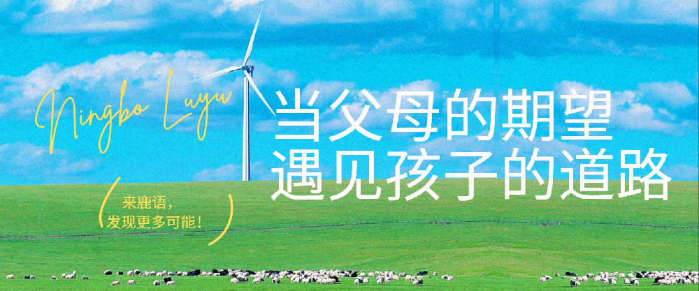 放下执念，接纳可能：当父母的期望遇见孩子的道路