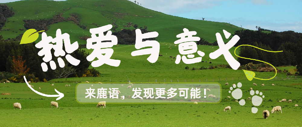 当热爱藏于迷雾：我们如何找回内心的指南针