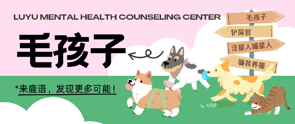 当汪星人喵星人来我们家