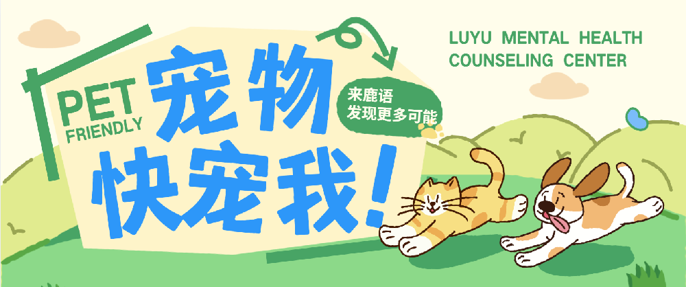 宠物之镜：它照见的，是我们内心未愈的伤痕