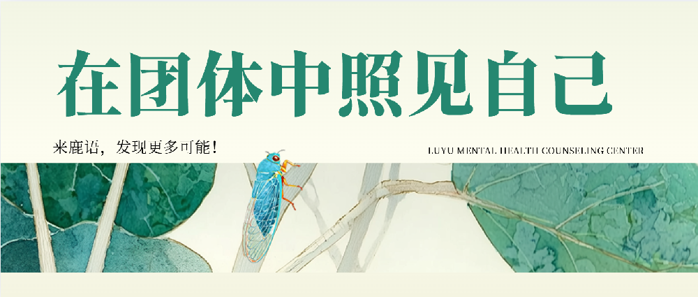 在团体中照见自己：当情绪张力成为疗愈的入口